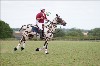 UKPA NC SAT_2686